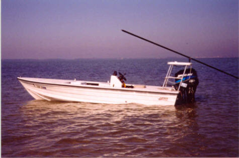 This is the perfect boat for tarpon flyfishing and tarpon flyfishing at the famous Homosassa Flats. Homossas fly fishing is all about flyfishing for tarpon, big tarpon. Sight fishing from a flats boat is one of the great experiences in saltwater fishing. Poling the boat quietly from a raised platform, the guide can spot fish otherwise unseen. He then can guide the angler to seeing and casting to the sportfish. In addition to our flats fishing charters, our guide is available for sightseeing, shelling, birdwatching and eco-tour cruises. Just one hour away from Disney World and the Orlando attractions, the Gulf Coast is a world apart. 