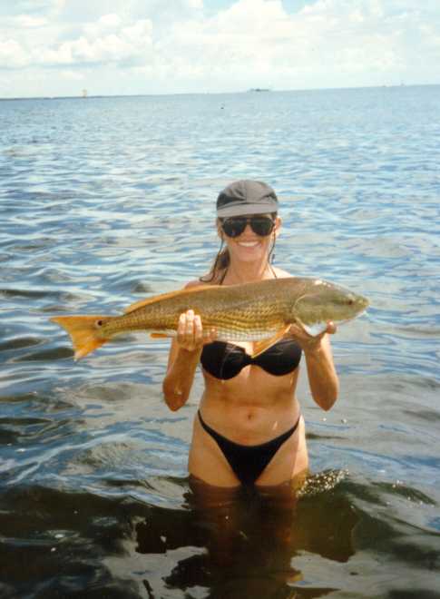 Photograghs - Tampa Florida saltwater fly fishing and light tackle fishing  with Captain Buddy